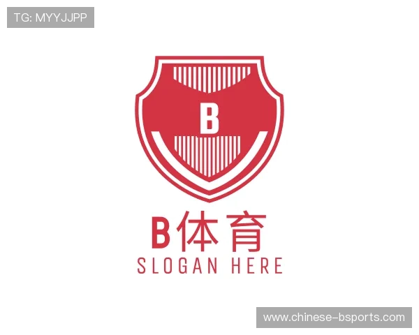 领略B体育官网
